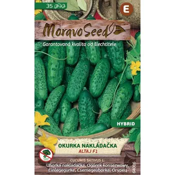 Semeno Moravoseed Okurka nakládačka Altaj F1 35 ks